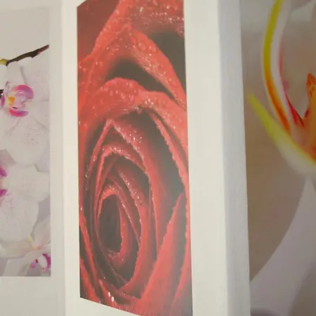 Lägenhet 2 Meyer Sankt Goar