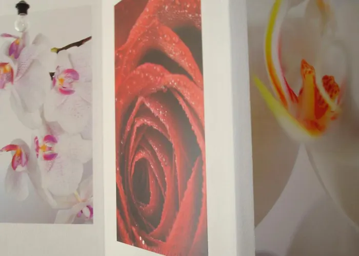 Apartamento 2 Meyer Sankt Goar